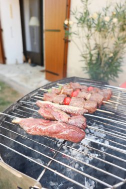 Akşam yemeği partisi Barbekü çeşit çeşit lezzetli ızgara et