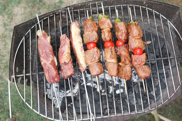 Filas Carne Asada Deliciosa Caliente Parrilla Barbacoa Parque —  Fotos de Stock