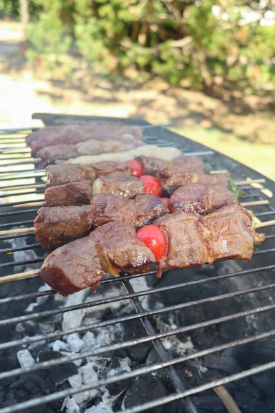 Kebabs Caseiros Espetos Sobre Brasas Churrasco — Fotografia de Stock