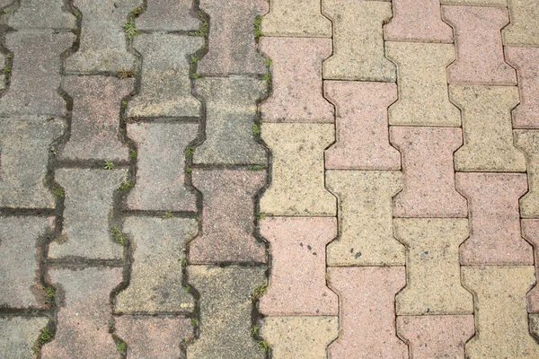 Comparison Pavement Cleaning Moss Lichen — Stock Photo, Image