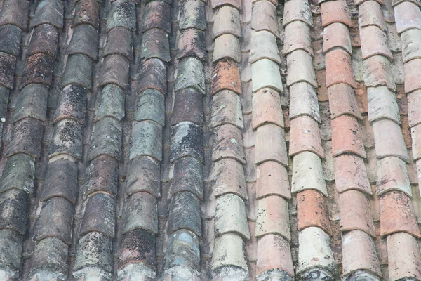 a roof of tiles half clean and dirty after an anti foam cleaning