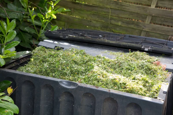 taze kesilmiş çimen ile dolu bahçe composter