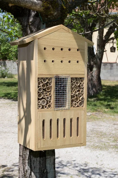 Casa Insectos Jardín Verano Para Cuidado Cría — Foto de Stock