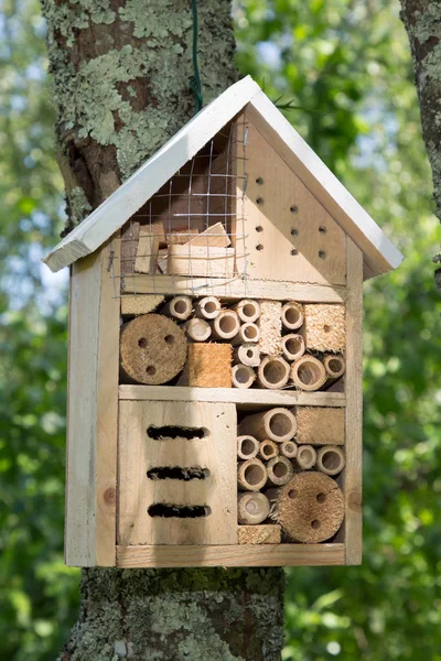 Wooden Insect Hotel Shelter Wild Insects House Garden — Stock Photo, Image