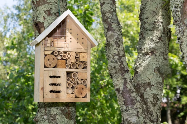 昆虫盒木昆虫旅馆或房子在树上 — 图库照片