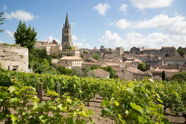 Vista Sul Paesaggio Del Villaggio Saint Emilion Nella Regione Bordeaux — Foto Stock