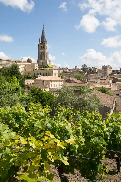 Paesaggio Della Vigna Sant Emilio Vicino Bordeaux Francia Patrimonio Mondiale — Foto Stock
