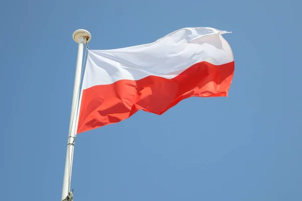 Polska Flaga Maty Wiatr Niebieski Niebo — Zdjęcie stockowe