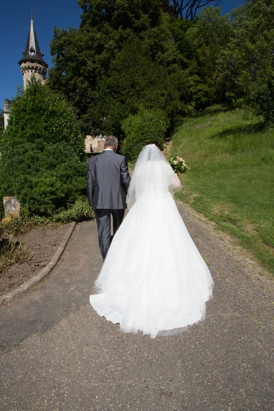 Задний Вид Свадебной Пары Невесты Жениха — стоковое фото