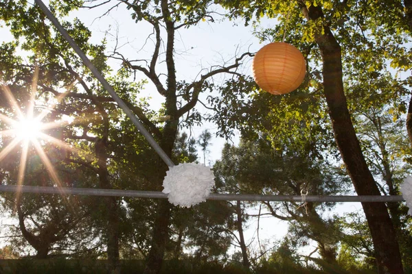 Lanterna Asiatica Appesa Sugli Alberi Nella Giornata Sole — Foto Stock