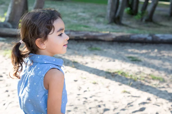 迷人的轮廓儿童褐发女郎户外在夏季公园 — 图库照片