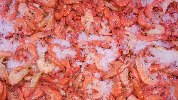 Crevettes Fraîches Dans Glace Sur Marché — Photo