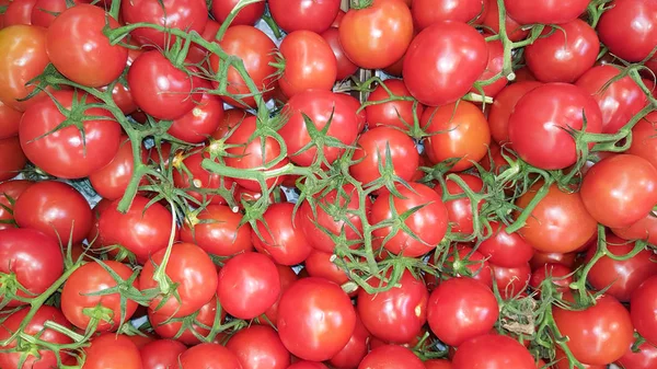 Vermelho Verde Tomate Fundo Mercado Papel Parede — Fotografia de Stock