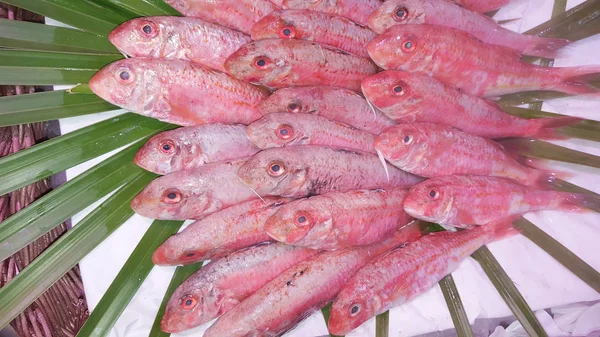 Červená Ryba Štítníků Nebo Tyče Ledě Trhu Čerstvým Ovocem — Stock fotografie