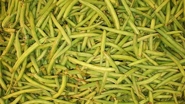 Legumbre Verde Fondo Frijol Francés — Foto de Stock