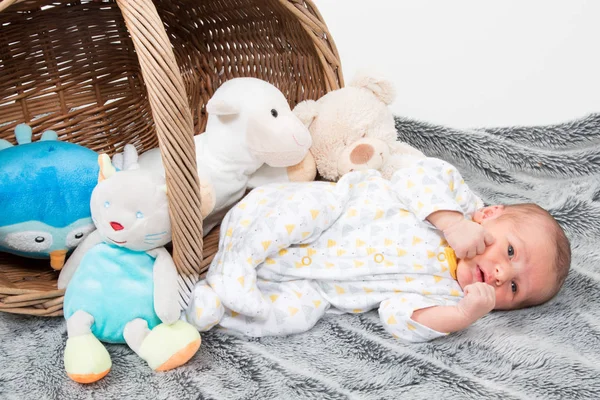 Bebé Niña Recién Nacido Retrato Estudio Cesta Suave Con Peluche —  Fotos de Stock