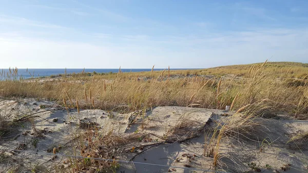 Meeresküste Atlantik Französischer Strand Dünen — Stockfoto