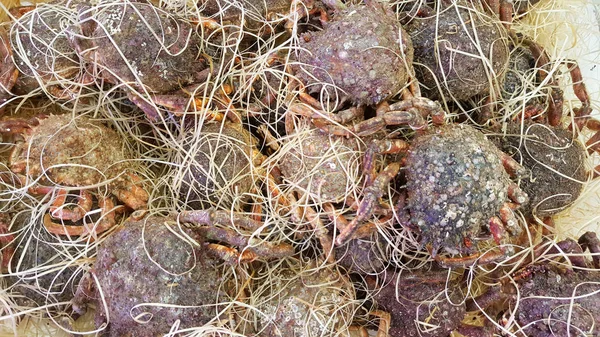 Montón Cunas Cangrejos Araña Para Venta Mercado Pescado Mariscos —  Fotos de Stock