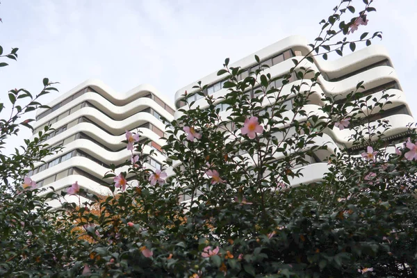 Bloco Moderno Apartamentos Área Verde Com Céu Azul Nuvem — Fotografia de Stock