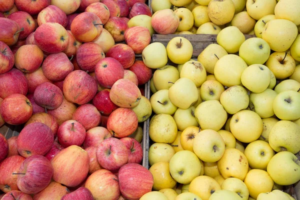 Many Green Red Apples Shelf Texture Background — Stock Photo, Image