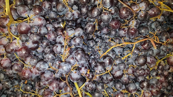 Tło Czerwone Owoce Winogron — Zdjęcie stockowe