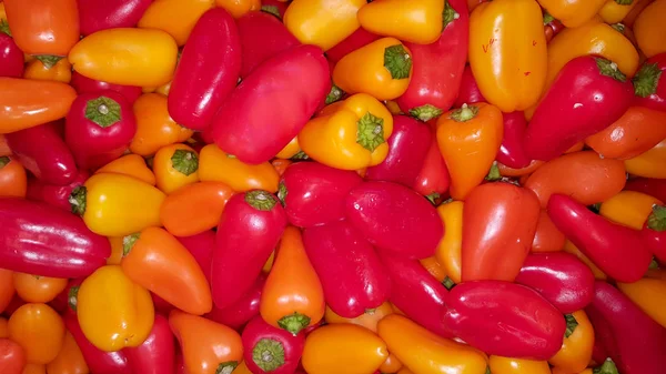 Colorful Pepper Shelf Market Sale Usable Background — Stock Photo, Image