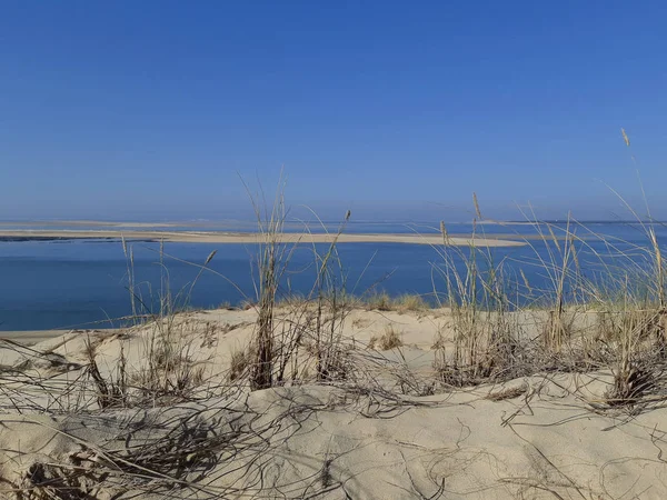 Visa Från Dune Pyla Pilat Nära Arcachon Bay Frankrike — Stockfoto