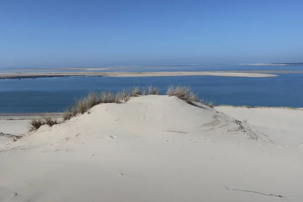 Dune Pilat Pyla Arcachon Sydvästra Frankrike Största Sandig Öken Europa — Stockfoto