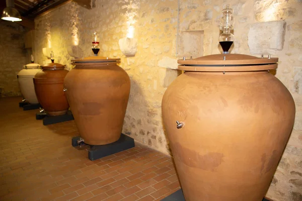 Modern Olívaolaj Terrakotta Amphora Bor Pincében — Stock Fotó