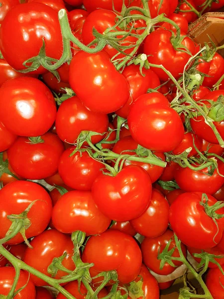 Pequenos Tomates Cereja Vermelho Natureza Fundo — Fotografia de Stock