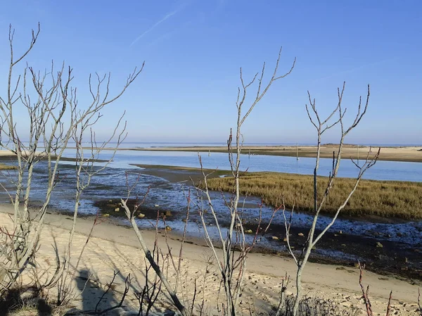 Atlantic Ocean Gujan Mestras Bassin Arcachon France — Stok fotoğraf