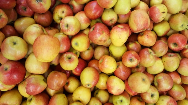 Red Yellow Apples Background Pile Fresh Apple Fruits — Stock Photo, Image