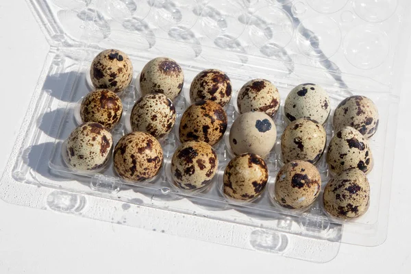 Quail Eggs Transparent Plastic Container White Background — Stock Photo, Image