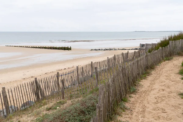 Panorama Landschap Van Zandduinen Systeem Het Strand Island Frankrijk Zuid — Stockfoto