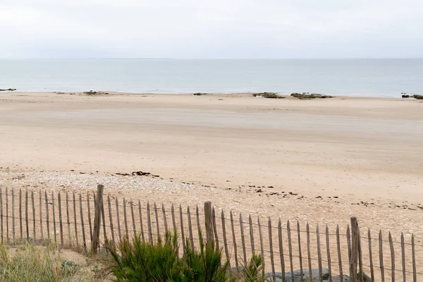 Zee Zand Landschap Hoog Gras Een Strand Tijdens Bewolkte Seizoen — Stockfoto