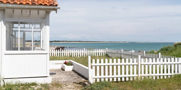 アーカソン バシンの白いビーチハウス前ウェブバナーテンプレートでフランスのキャップフェレット — ストック写真
