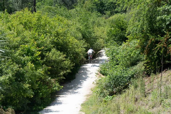 Ung Ryttare Biker Man Mountainbike Genom Skog Back View — Stockfoto