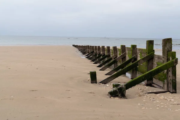 Trä Våg Brytare Strand Stavar Stranden Låg Vatten — Stockfoto