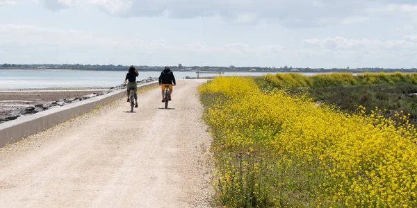 Uomo Donna Vanno Bicicletta Sulle Piste Ciclabili Dell Isola Nel — Foto Stock