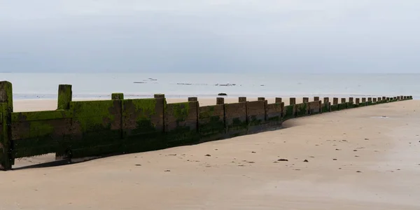 Ξύλο Breakwaters Ξυλεία Στην Άμμο Παραλία Χαμηλή Παλίρροια — Φωτογραφία Αρχείου