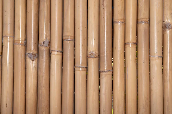 Fondo Valla Madera Bambú Para Papel Pintado —  Fotos de Stock
