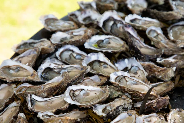 新鲜牡蛎在大盘在党活动在帽雪铁龙阿卡洪法国 — 图库照片