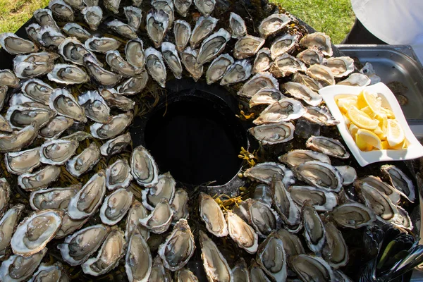新鲜开放的牡蛎作为顶级景观在波尔多巴辛德阿卡洪附近的派对 — 图库照片