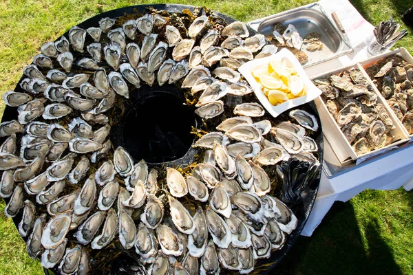 大大美味的牡蛎在盘上圆桌上在卡普费雷特阿卡洪湾法国党 — 图库照片