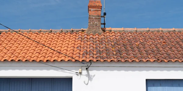 比較屋根洗浄コケと高圧水クリーナータイルの前後に地衣類 — ストック写真