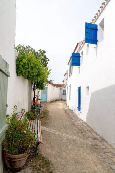 Virágos Sikátor Isle Noirmoutier Vendee Franciaországban — Stock Fotó