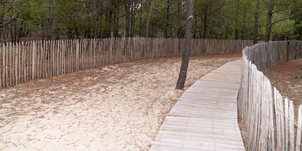 Дерев Яний Шлях Пляжу Веб Банер Шаблон Лакано Жиронд — стокове фото