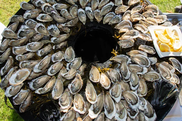 在法国阿卡洪举行的派对上 来自奥勒隆的新鲜牡蛎在顶景中 — 图库照片