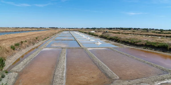 Marshes Untuk Produksi Garam Pulau Ile Noirmoutier France Vendee Dalam — Stok Foto