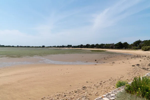 Schöner Sandstrand Auf Der Insel Aix Charente Maritime Frankreich — Stockfoto